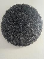 Grote wandlamp, Huis en Inrichting, Ophalen, Overige materialen