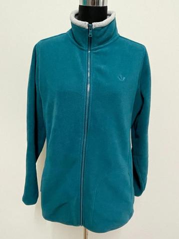 V38 - Zgan blauw warm Winnipeg vest maat XL (1) beschikbaar voor biedingen