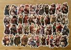 Dieren in jasjes, winter stickers, Verzenden, Nieuw, Meerdere stickers