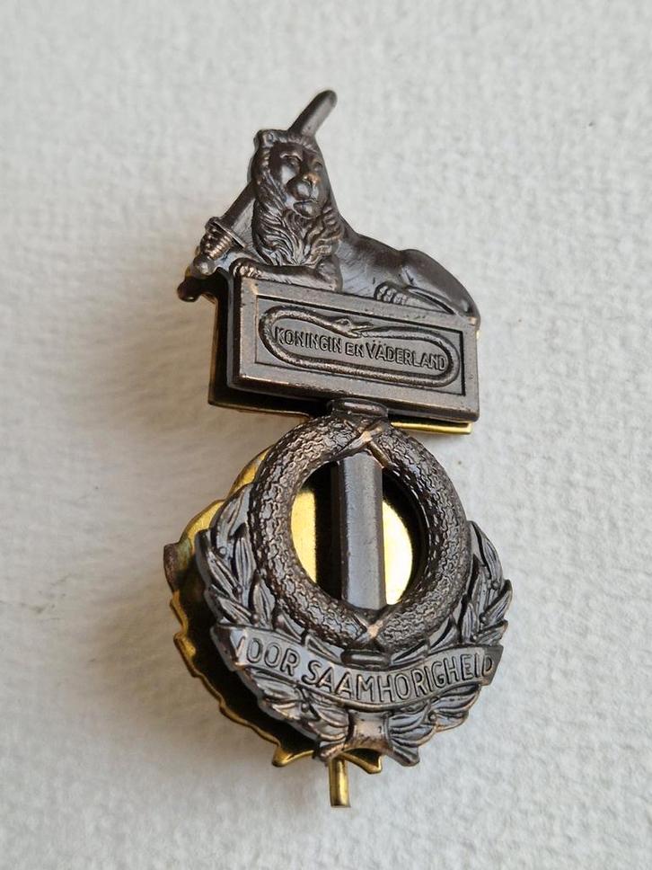 Draagspeld bij groepswaardering Koninklijke Landmacht, Verzamelen, Militaria | Algemeen, Landmacht, Embleem of Badge, Nederland