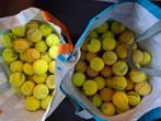 Partij tennisballen 80 stuks ,leuk voor de hond !, Dieren en Toebehoren, Hondenspeelgoed, Gebruikt, Hondenballen, Ophalen of Verzenden
