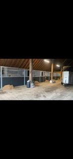 Stal aangeboden, Dieren en Toebehoren, Stalling en Weidegang