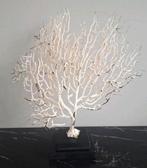 Gaaf creme kleurig ornament op zwarte voet japandi chique, Nieuw, Ophalen of Verzenden, X, X