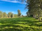 Uitloopstal met weidegang voor merrie, Dieren en Toebehoren, Stalling en Weidegang, Weidegang