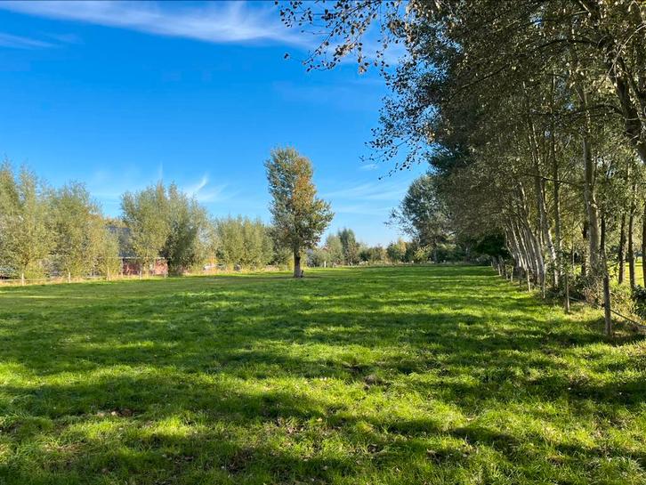 Uitloopstal met weidegang voor merrie, Dieren en Toebehoren, Stalling en Weidegang, Weidegang