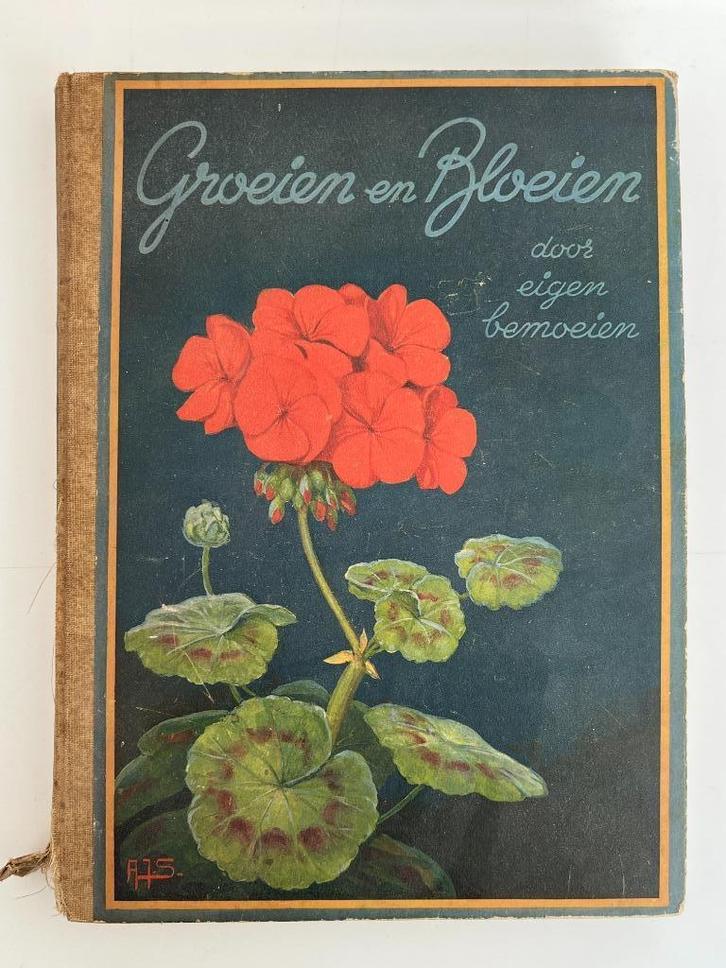 Verkade / Hille plakboeken, Boeken, Prentenboeken en Plaatjesalbums, Gelezen, Plaatjesalbum, Ophalen of Verzenden