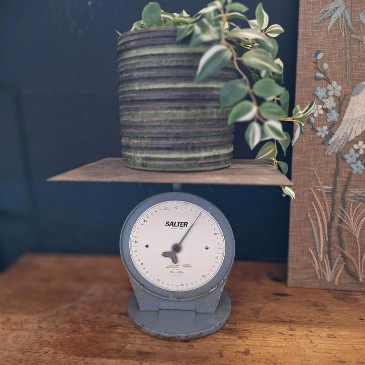Grote Salter Weegschaal - Vintage, Antiek en Kunst, Antiek | Gereedschap en Instrumenten, Ophalen