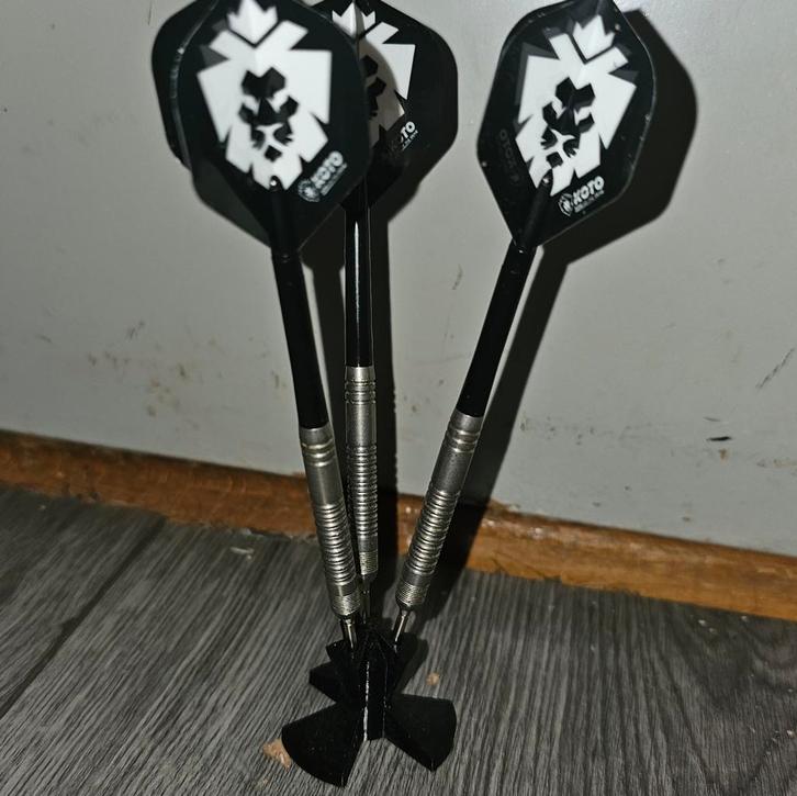 Target Dimitri vd Bergh G2 23 gram, Sport en Fitness, Darts, Gebruikt, Pijlen, Ophalen of Verzenden