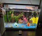SUPERFISH AQUARIUM HOME 65 zwart met Cilinders 20 stuks, Ophalen