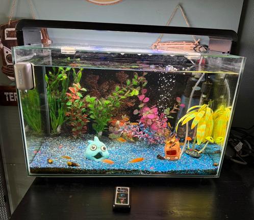 SUPERFISH AQUARIUM HOME 65 zwart met Cilinders 20 stuks, Dieren en Toebehoren, Vissen | Aquaria en Toebehoren, Ophalen