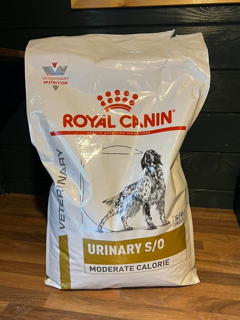 Royal Canin Urinary S/O hondenvoer 6.5KG, Dieren en Toebehoren, Dierenvoeding, Ophalen, Hond