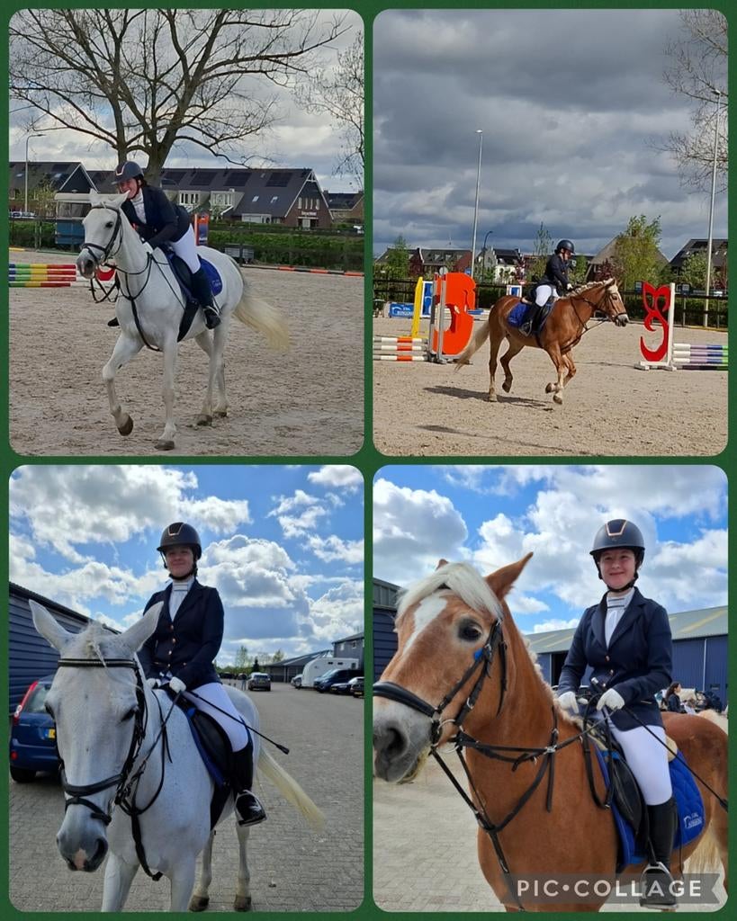 Bijrijders aangeboden 1 of 2 verzorgpony/paarden gezocht, Ophalen