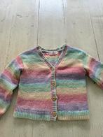 Vestje regenboog mt 122/128 goede staat, Ophalen of Verzenden, Zo goed als nieuw, Meisje, Trui of Vest