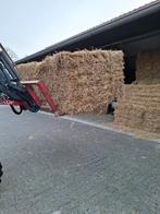 Kleine balen stro in bundel van 21, Dieren en Toebehoren, Ophalen of Verzenden, Vee