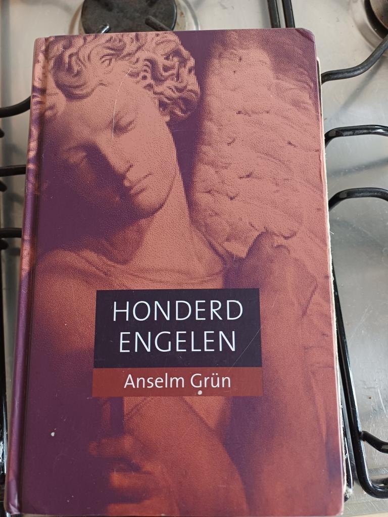 Boek honderd engelen, Boeken, Ophalen of Verzenden, Gelezen