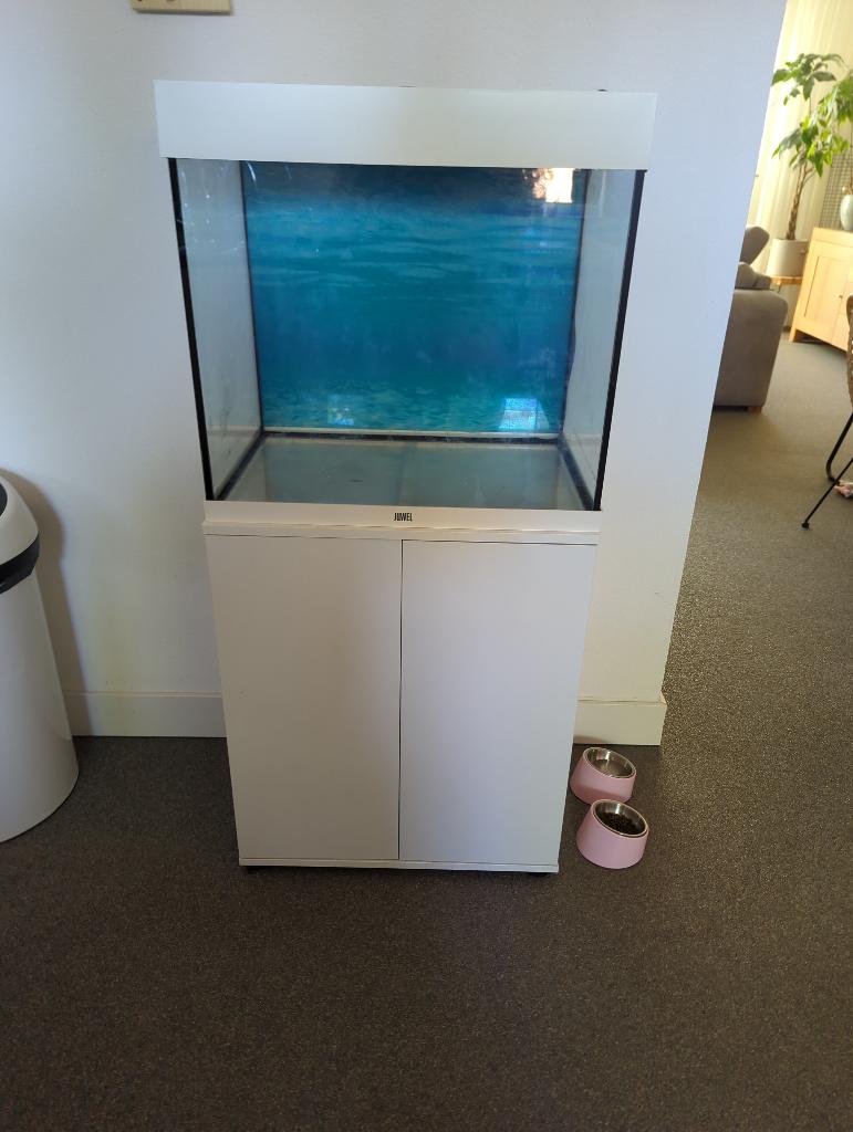 Juwel Lido 120 aquarium met toebehoren (CO2&LED), Dieren en Toebehoren, Ophalen, Gebruikt, Leeg aquarium, Inclusief toebehoren