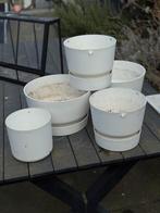 Elho Greenwille potten wit 4 stuks, Kunststof, Rond, Zo goed als nieuw, Minder dan 40 cm