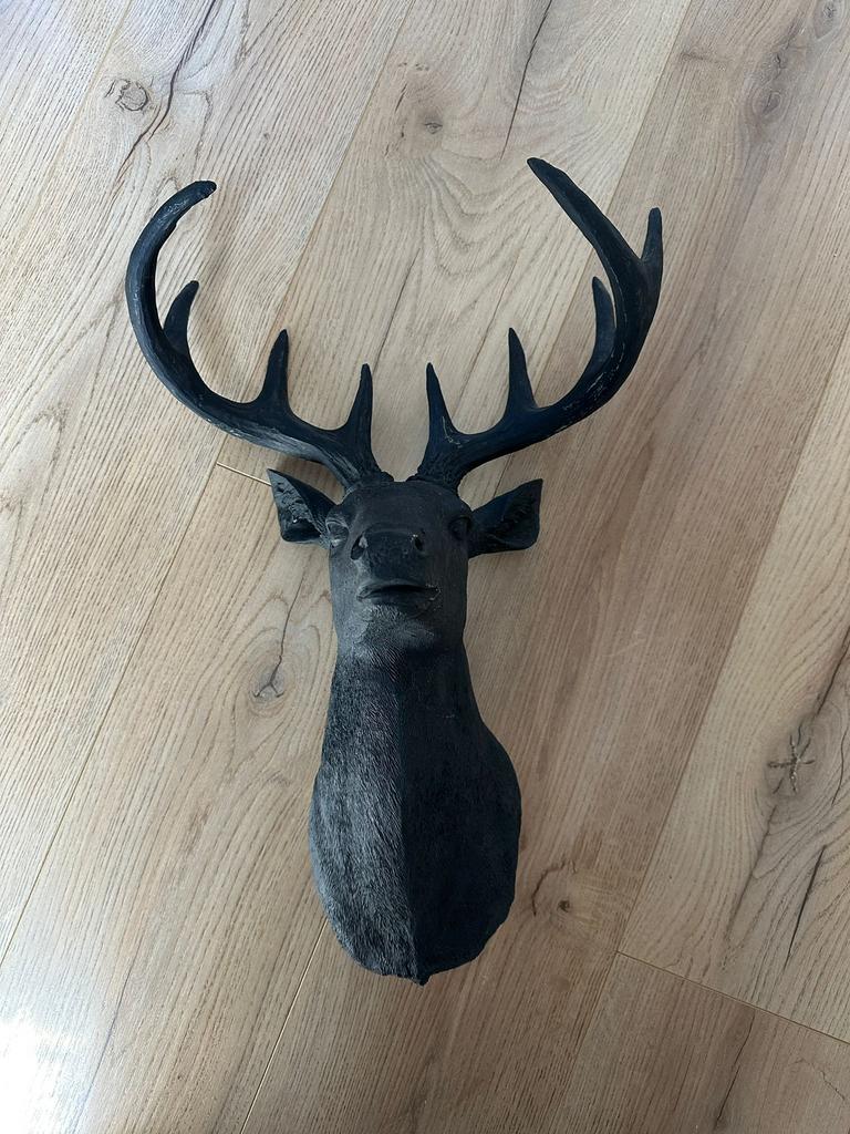 Hertenhoofd voor aan de muur, Ophalen, Gebruikt, 31 cm, Zwart