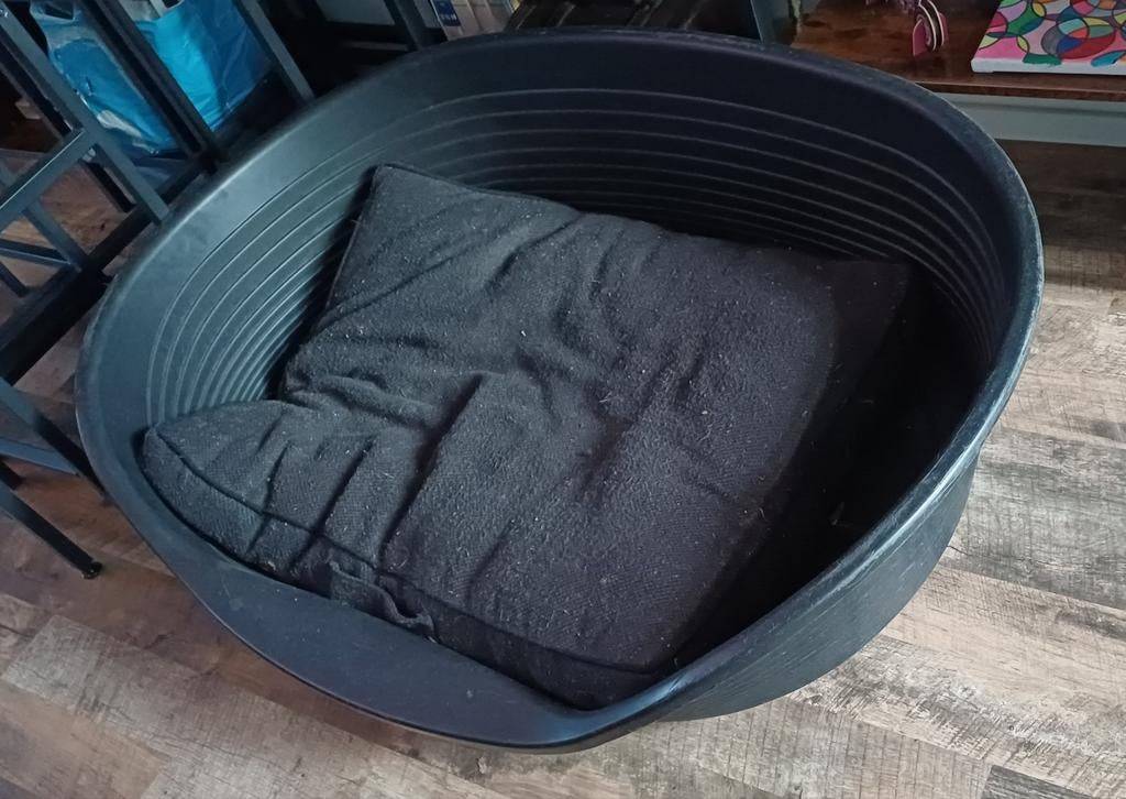 Honden mand, Dieren en Toebehoren, Ophalen