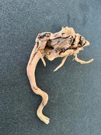 Natuurlijk hout, geschikt voor Aquarium, Dieren en Toebehoren, Ophalen of Verzenden, Plant(en), Steen of Hout