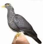 te koop olijfduiven, Dieren en Toebehoren, Vogels | Duiven, Mannelijk, Overige soorten