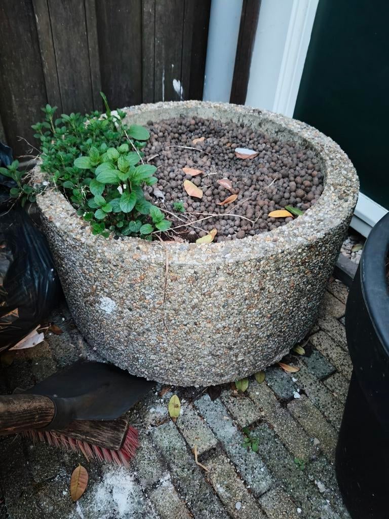 2x Robuuste vintage betonnen plantenbak, Ophalen, Gebruikt, Rond, Balkon