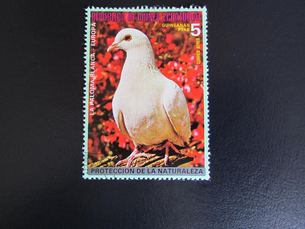 Postzegel Vogel: Witte Tortel uit Guinea-Equatoriaal, Ophalen of Verzenden, Gestempeld, Dier of Natuur