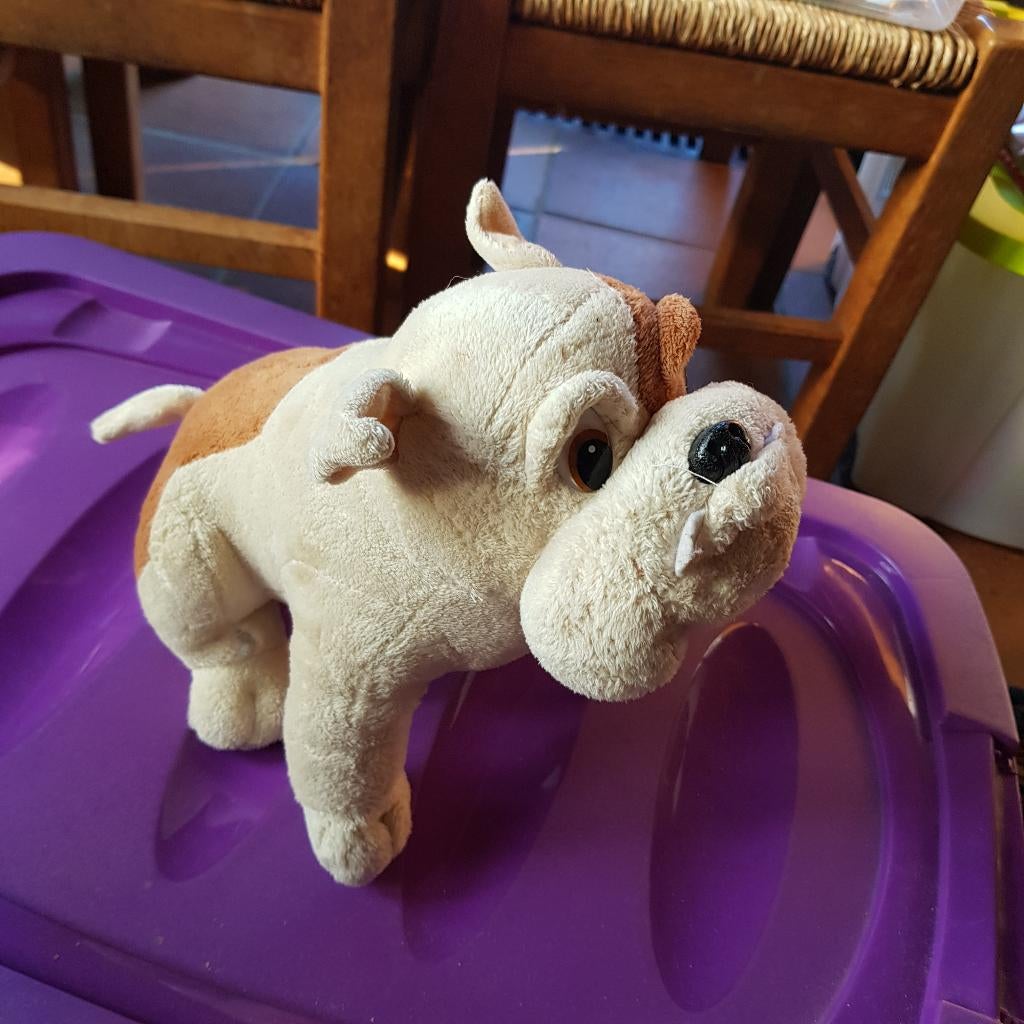 KNuffel mopshond, Ophalen of Verzenden, Zo goed als nieuw, Overige typen, Middelgroot (20 tot 80 cm)