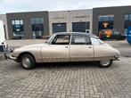 Orginele Citroën DS 23 Pallas 1973– Rijdend/Restauratiebasis, Auto's, Citroën, 4 cilinders, DS, Wit, 113 pk