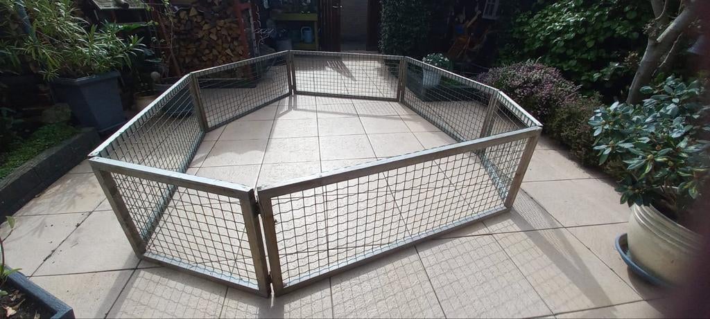 Puppy ren buiten, Ophalen, 110 cm of meer, Minder dan 65 cm