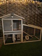 Konijn met hok en toebehoren, Dieren en Toebehoren, Zo goed als nieuw, Konijn, Hok, Ophalen