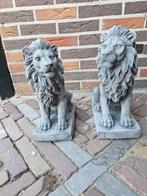 Betonbeelden Leeuwen Set, Tuin en Terras, Tuinbeelden, Ophalen, Nieuw, Beton, Dierenbeeld