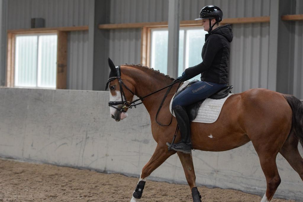Zadelmak maken., Ophalen of Verzenden