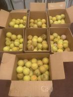 Oude tennisballen, Ophalen, Zo goed als nieuw, Hondenballen