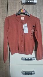 Nieuw HEMA vestje in maat 110/116, Meisje, Trui of Vest, Nieuw, Ophalen of Verzenden