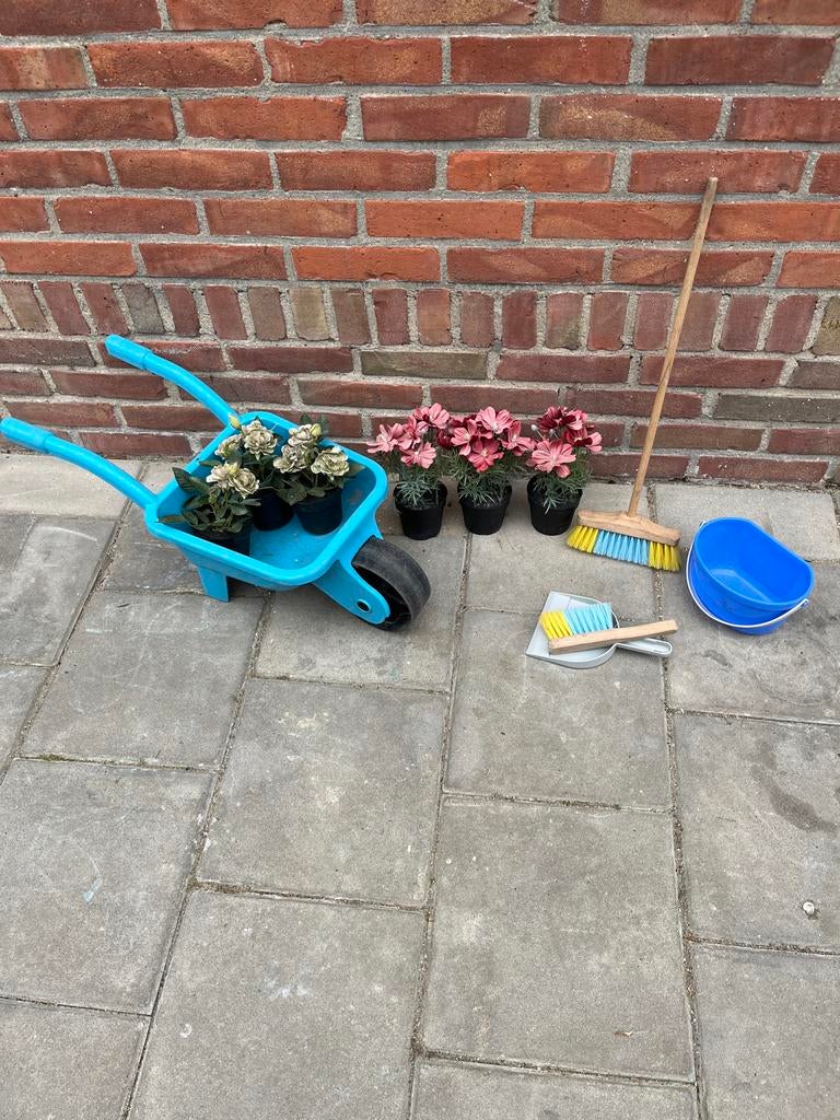 Tuinset voor kinderen met kruiwagen, plantjes en schoonmaaks, Ophalen of Verzenden, Gebruikt