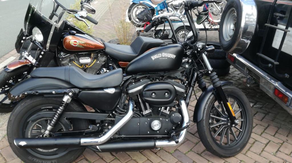 Harley Davidson Sportster 883, Motoren, Motoren | Harley-Davidson, Chopper, Gebruikt, Particulier, Handgeschakeld