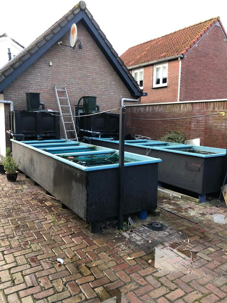 Quarantaine bak, Tuin en Terras, Vijver-toebehoren, Ophalen of Verzenden, Zo goed als nieuw, Vijverfilter