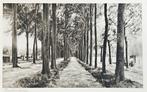Tilburg Berkel Enschot - Trappisten Klooster - Beukenlaan, Verzenden, Voor 1920, Noord-Brabant