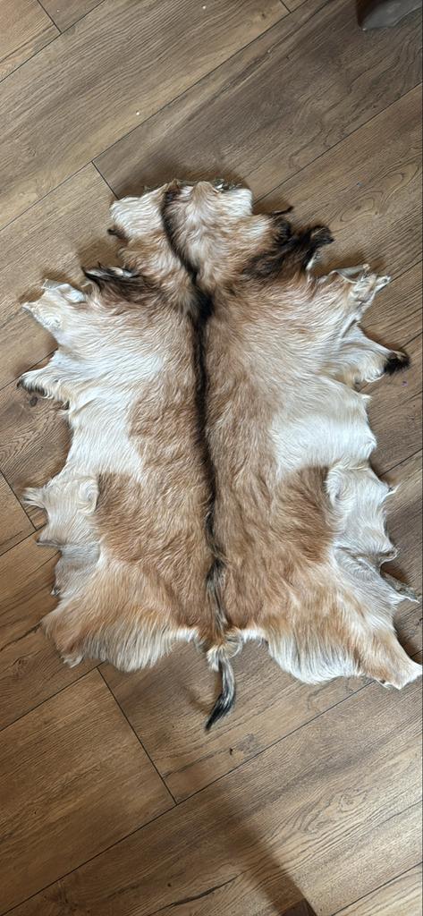 Diverse vachten - Decoratief en uniek, Gebruikt, Meerkleurig, Ophalen of Verzenden, Landelijk