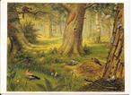 Ansichtkaart	In het bos	M.A. Koekkoek, Verzenden, 1980 tot heden, Gelopen, Natuur