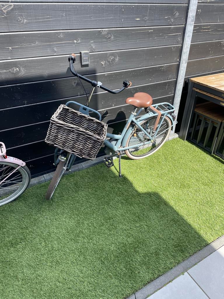 Alpina meisjesfiets 24 inch, Fietsen en Brommers, Fietsen | Meisjes, Ophalen, Gebruikt, 24 inch