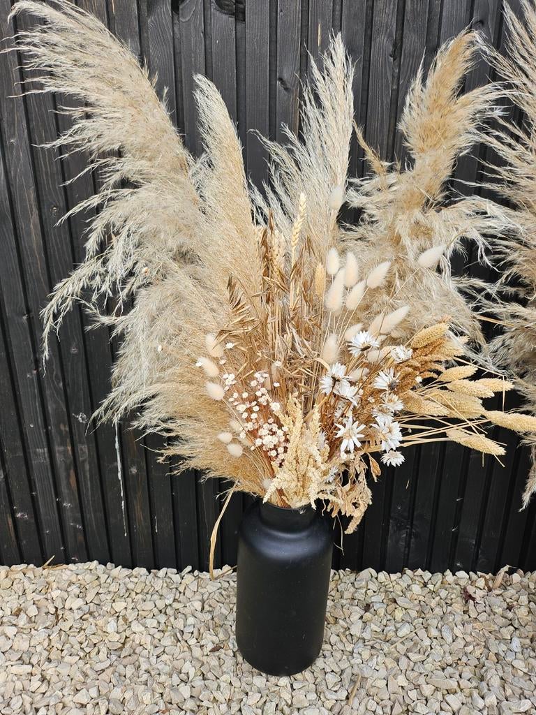 Pampasgras pluimen - Prachtige decoratie, Ophalen of Verzenden, Nieuw, Binnen