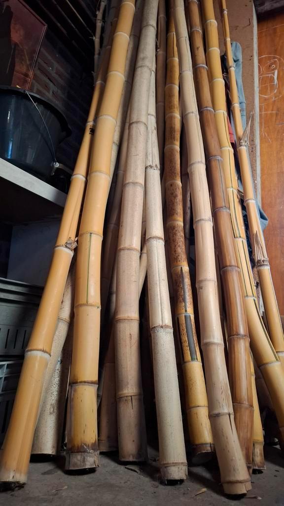 Bamboe te koop voor moestuin, Tuin en Terras, Palen, Balken en Planken, Palen, 250 cm of meer, Ophalen of Verzenden