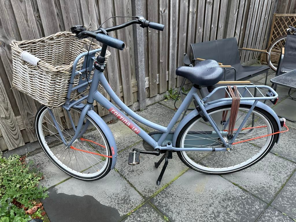 Cortina U4 transportfiets met mand, Terugtraprem, Gebruikt, 50 tot 53 cm, Ophalen