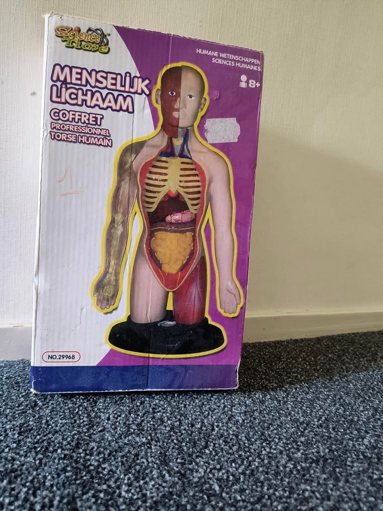 Menselijk lichaam puzzel, Ophalen, Gebruikt