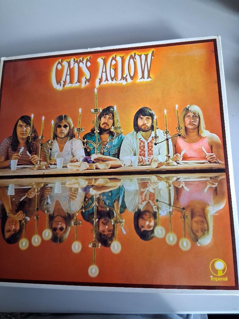 lp, Inclusief binnenhoes, Ophalen of Verzenden, Gebruikt, Overige formaten