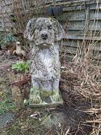 Groot stenen hondenbeeld, 85 cm hoog, Ophalen of Verzenden, Gebruikt, Steen, Dierenbeeld