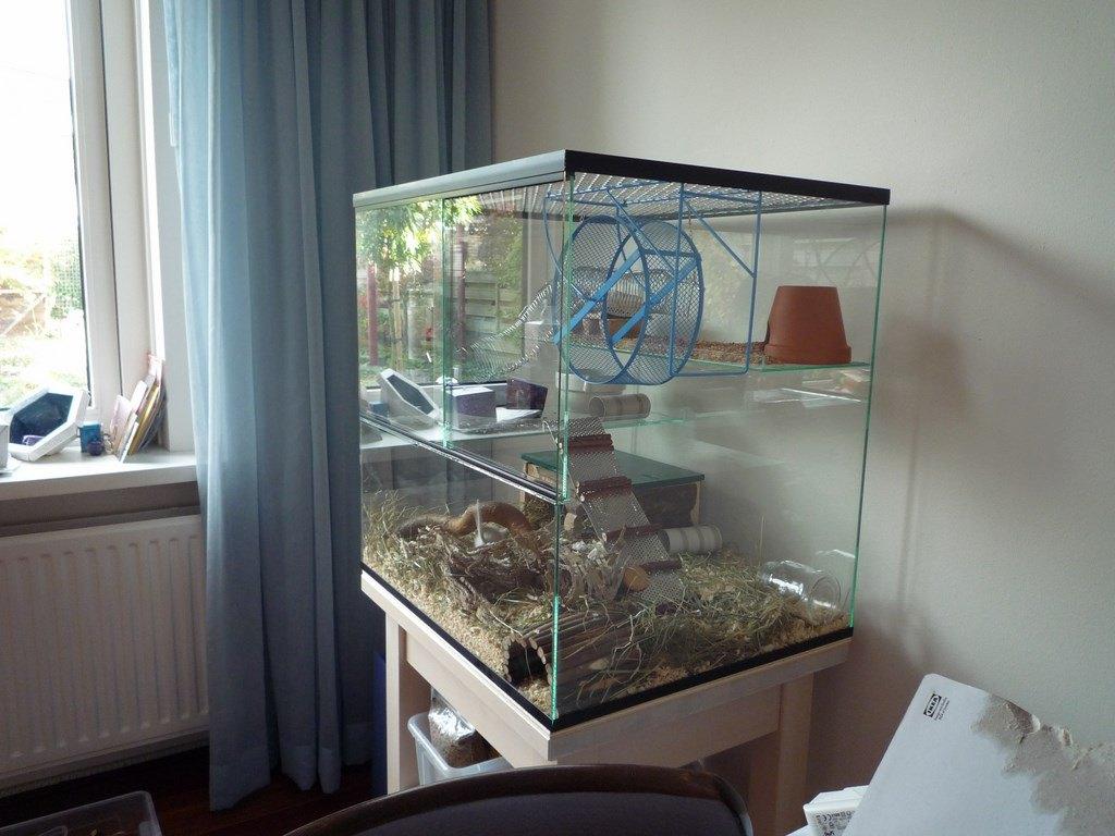 Gerbilarium voor muizen en gerbils kopen, Kooi, 60 tot 90 cm, Ophalen of Verzenden, Muis