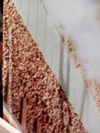 Grote poster Stoomlocomotief, Kaart of Prent, Trein, Gebruikt, .